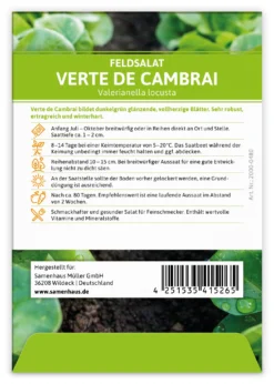 Feldsalat Verte De Cambrai (100 Stück) | Feldsalatsamen Von FLORTUS -Indoor Gärtnern Verkaufe 549863 Feldsalat Verte de Cambrai 100 Stueck 2000 0480 100x 2