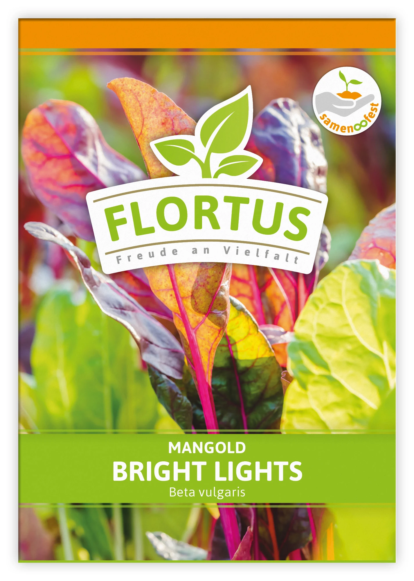 Mangold Bright Lights (100 Stück) | Mangoldsamen Von FLORTUS 1 Mangold Bright Lights (100 Stück) | Mangoldsamen Von FLORTUS