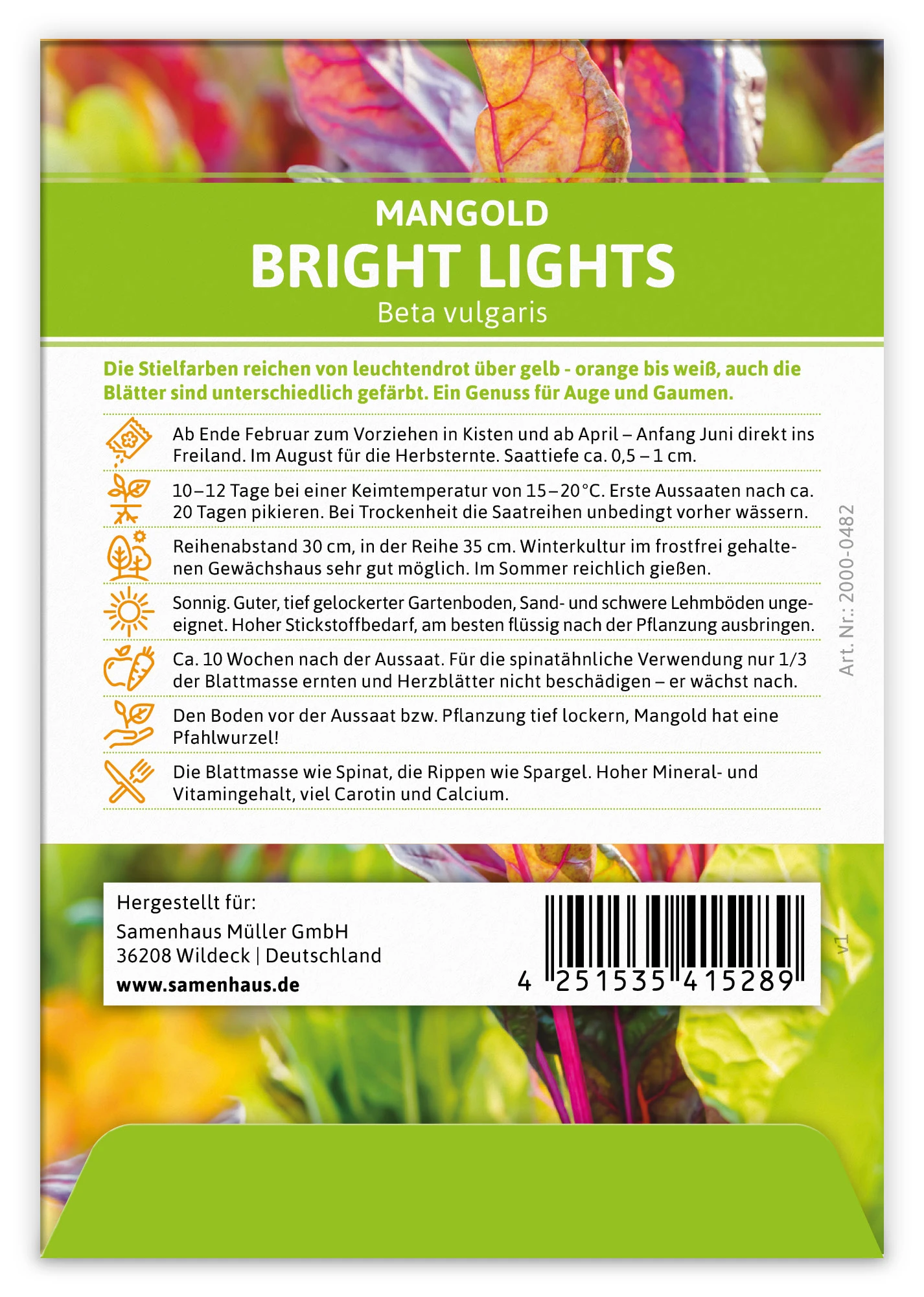 Mangold Bright Lights (100 Stück) | Mangoldsamen Von FLORTUS 3 Mangold Bright Lights (100 Stück) | Mangoldsamen Von FLORTUS – Bild 3
