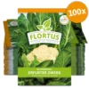 Blumenkohl Erfurter Zwerg (100 Stück) | Blumenkohlsamen Von FLORTUS