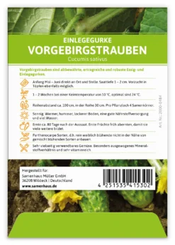 Einlegegurke Vorgebirgstrauben (100 Stück) | Einlegegurkensamen Von FLORTUS 5 Einlegegurke Vorgebirgstrauben (100 Stück) | Einlegegurkensamen Von FLORTUS -Indoor Gärtnern Verkaufe 549867 Einlegegurke Vorgebirgstrauben 100 Stueck 2000 0484 100x 2