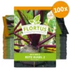 Rote Beete Rote Kugel 2 (100 Stück) | Rote Beetesamen Von FLORTUS