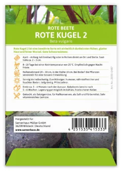 Rote Beete Rote Kugel 2 (100 Stück) | Rote Beetesamen Von FLORTUS -Indoor Gärtnern Verkaufe 549870 Rote Beete Rote Kugel 2 100 Stueck 2000 0487 100x 2