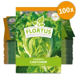 Chinakohl Cantoner (100 Stück) | Chinakohlsamen Von FLORTUS 5 Chinakohl Cantoner (100 Stück) | Chinakohlsamen Von FLORTUS -Indoor Gärtnern Verkaufe 549871 Chinakohl Cantoner 100 Stueck 2000 0488 100x 0