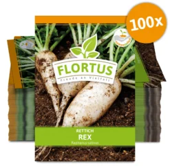 Rettich Rex (100 Stück) | Rettichsamen Von FLORTUS -Indoor Gärtnern Verkaufe 549872 Rettich Rex 100 Stueck 2000 0489 100x 0