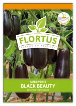 Aubergine Black Beauty (100 Stück) | Auberginensamen Von FLORTUS 5 Aubergine Black Beauty (100 Stück) | Auberginensamen Von FLORTUS -Indoor Gärtnern Verkaufe 549874 Aubergine Black Beauty 100 Stueck 2000 0491 100x 1