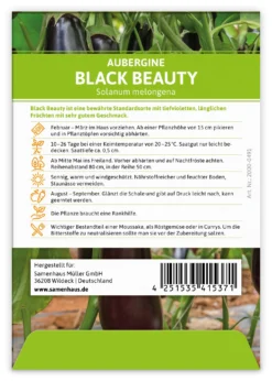 Aubergine Black Beauty (100 Stück) | Auberginensamen Von FLORTUS