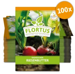 Radieschen Riesenbutter (100 Stück) | Radieschensamen Von FLORTUS