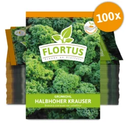 Grünkohl Halbhoher Krauser (100 Stück) | Grünkohlsamen Von FLORTUS 5 Grünkohl Halbhoher Krauser (100 Stück) | Grünkohlsamen Von FLORTUS -Indoor Gärtnern Verkaufe 549878 Gruenkohl Halbhoher Krauser 100 Stueck 2000 0495 100x 0