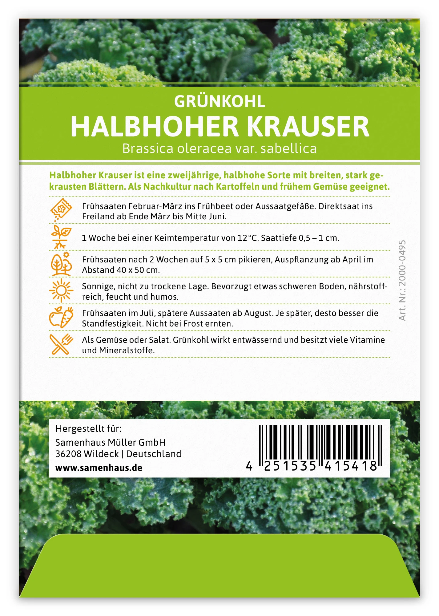 Grünkohl Halbhoher Krauser (100 Stück) | Grünkohlsamen Von FLORTUS 1 Grünkohl Halbhoher Krauser (100 Stück) | Grünkohlsamen Von FLORTUS