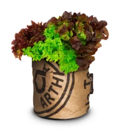 Greensquad Knackiger Salat | Anzuchtsets Von Baza -Indoor Gärtnern Verkaufe 550260 Greensquad Knackiger Salat 18027722 bz 1