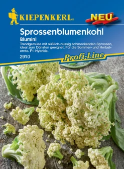 Sprossenblumenkohl Blumini F1 | Blumenkohlsamen Von Kiepenkerl