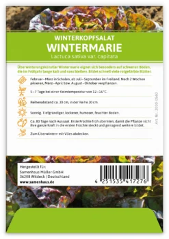 Winterkopfsalat Wintermarie (100 Tütchen) | Kopfsalatsamen Von FLORTUS