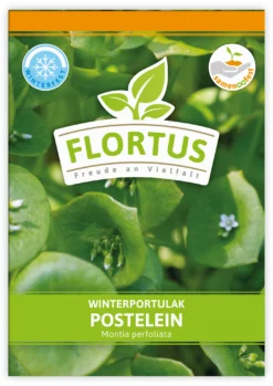 Winterportulak Postelein (100 Tütchen) | Portulaksamen Von FLORTUS -Indoor Gärtnern Verkaufe 551880 Winterportulak Postelein 100 Tuetchen 2000 0562 0 1