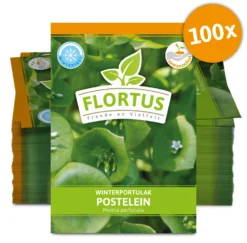 Winterportulak Postelein (100 Tütchen) | Portulaksamen Von FLORTUS -Indoor Gärtnern Verkaufe 551880 Winterportulak Postelein 100 Tuetchen 2000 0562 100x 0