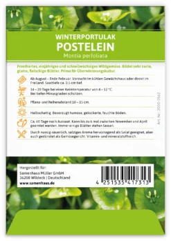 Winterportulak Postelein (100 Tütchen) | Portulaksamen Von FLORTUS -Indoor Gärtnern Verkaufe 551880 Winterportulak Postelein 100 Tuetchen 2000 0562 1 1