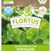 Winterportulak Postelein (100 Tütchen) | BIO Portulaksamen Von FLORTUS