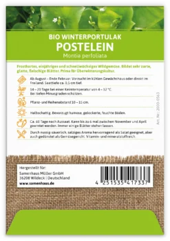 Winterportulak Postelein (100 Tütchen) | BIO Portulaksamen Von FLORTUS -Indoor Gärtnern Verkaufe 551882 BIO Winterportulak Postelein 100 Tuetchen 2000 0563 1
