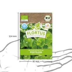 Winterportulak Postelein (100 Tütchen) | BIO Portulaksamen Von FLORTUS -Indoor Gärtnern Verkaufe 551882 BIO Winterportulak Postelein 100 Tuetchen 2000 0563 3