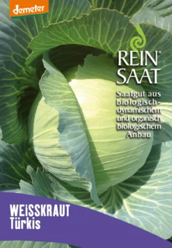 Weißkraut Türkis | BIO Weißkohlsamen Von Reinsaat