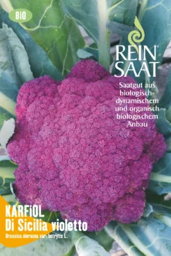 Blumenkohl Di Sicilia Violetto | BIO Blumenkohlsamen Von Reinsaat