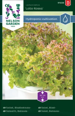Salat Blattsalat Lollo Rossa | Eichblattsalatsamen Von Nelson Garden