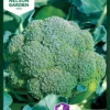 Brokkoli Atlantis F1 | Brokkolisamen Von Nelson Garden