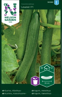 Gurke Louisa F1 | Gurkensamen Von Nelson Garden