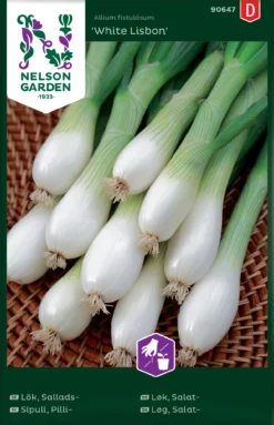 Frühlingszwiebel White Lisbon | Zwiebelsamen Von Nelson Garden