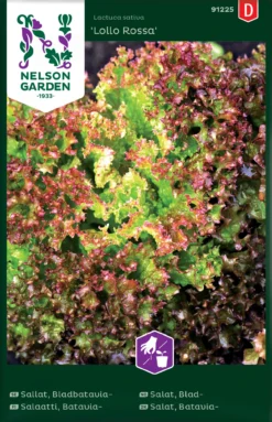 Bataviasalat Lollo Rossa | Salatsamen Von Nelson Garden