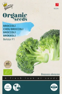 Broccoli Belstar F1 | BIO Brokkolisamen Von Buzzy Seeds