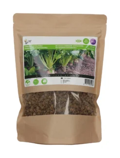 Futter Rüben Zentauer Poly (250 G) | Runkelrüben- &amp; Futterrübensamen Von Buzzy Seeds