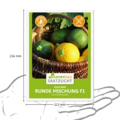 Zucchini Runde Mischung F1 | Zucchinisamen Von Samenhaus Saatzucht -Indoor Gärtnern Verkaufe 556224 Zucchini Runde Mischung F1 15 Korn 2000 0800 3