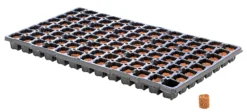Eazy Plug Anzuchtwürfel CT104, Rund, 3,5 X 2 Cm, Tray Mit 104 St. | Anzuchttray -Indoor Gärtnern Verkaufe 557342 Eazy Plug Anzuchtwuerfel CT104 rund 3 5 x 2 cm Tray mit 104 St 534573 Eazy Plug Stecklingstrays 104 St rund klein 2