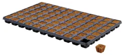 Eazy Plug Anzuchtwürfel CT77, 3,5 X 3,5 Cm, Tray Mit 77 Stk. | Anzuchttray 5 Eazy Plug Anzuchtwürfel CT77, 3,5 X 3,5 Cm, Tray Mit 77 Stk. | Anzuchttray -Indoor Gärtnern Verkaufe 557344 Eazy Plug Anzuchtwuerfel CT77 3 5 x 3 5 cm Tray mit 77 Stk 533627 Eazy Plug Anzuchtwuerfel 3 5x3 5 cm Tray mit 77 St