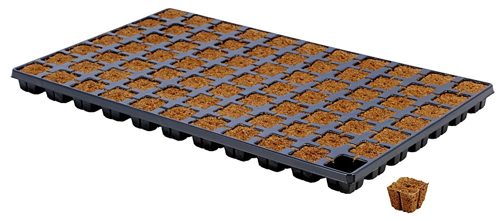 Eazy Plug Anzuchtwürfel CT77, 3,5 X 3,5 Cm, Tray Mit 77 Stk. | Anzuchttray 3 Eazy Plug Anzuchtwürfel CT77, 3,5 X 3,5 Cm, Tray Mit 77 Stk. | Anzuchttray – Bild 3