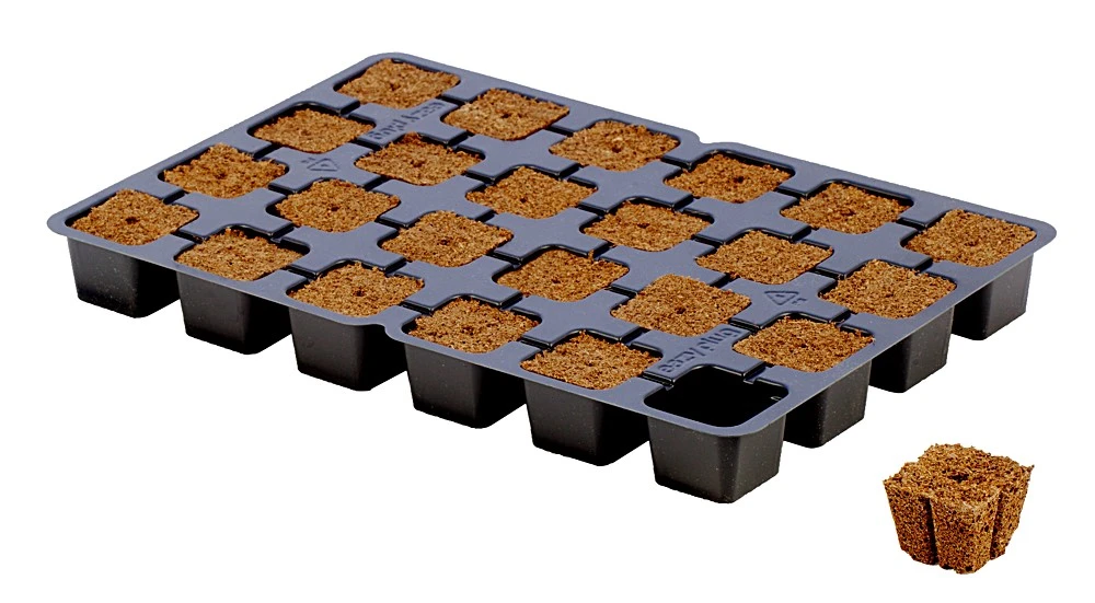Eazy Plug Anzuchtwürfel CT24, 3,5 X 3,5 Cm, Tray Mit 24 St. | Anzuchttray 2 Eazy Plug Anzuchtwürfel CT24, 3,5 X 3,5 Cm, Tray Mit 24 St. | Anzuchttray – Bild 2