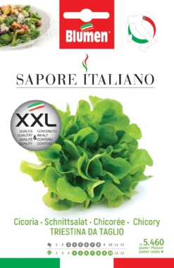 Schnittsalat Triestina Da Taglio | Salatsamen Von BLUMEN Group