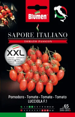 Tomate Sapore Italiano Lucciola F1 | Tomatensamen Von BLUMEN Group