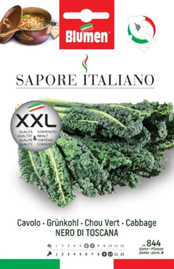 Grünkohl Nero Di Toscana | Grünkohlsamen Von BLUMEN Group